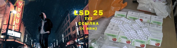бошки Ладушкин