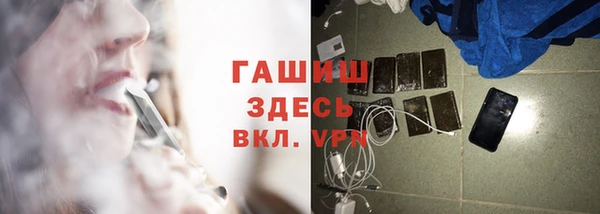 бошки Ладушкин