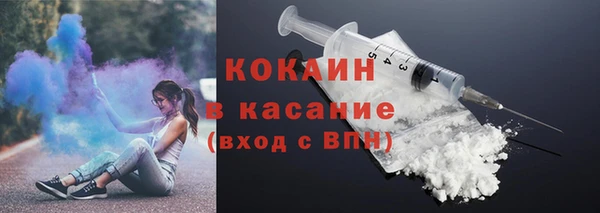 бошки Ладушкин
