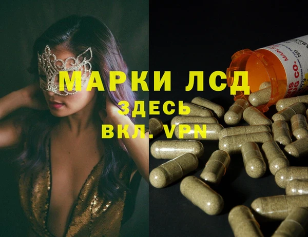 бошки Ладушкин