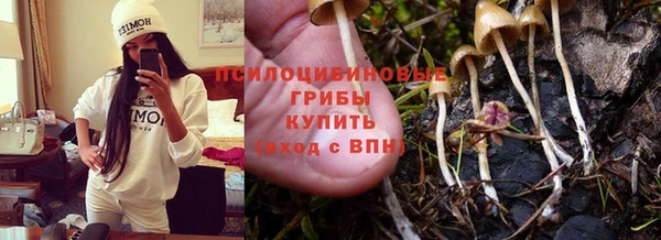 бошки Ладушкин