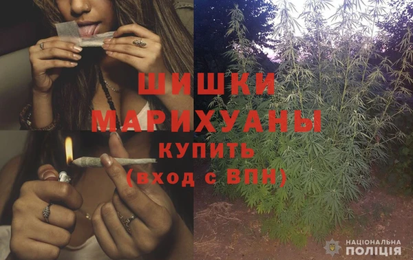 бошки Ладушкин