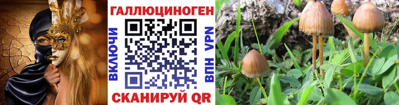Купить где  Георгиевск  Галлюциногенные грибы MAGIC MUSHROOMS 